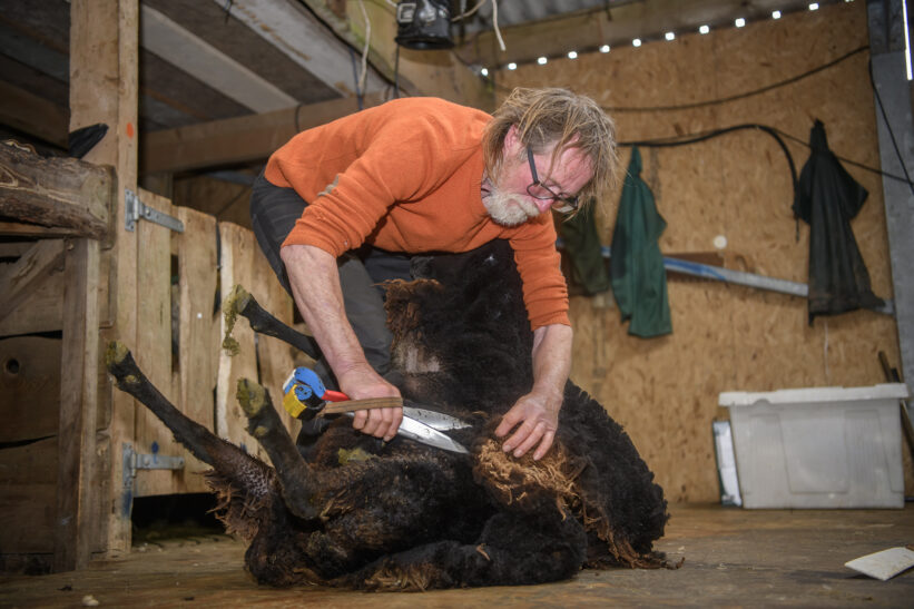 Hand shearing