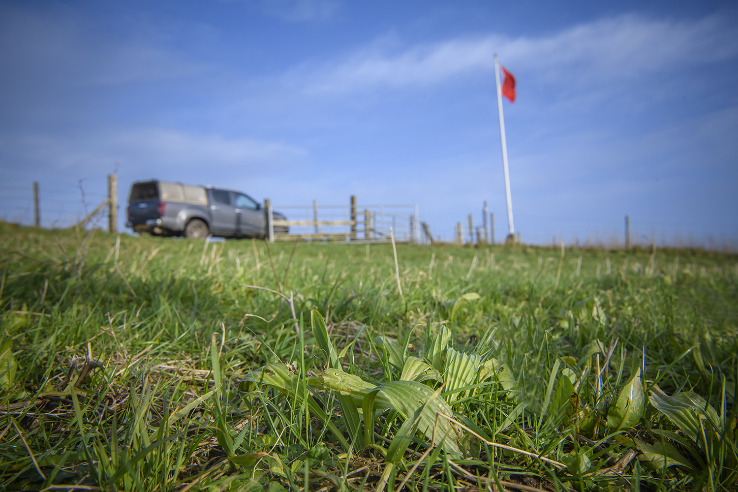 Herbal ley on Salisbury Plain military range