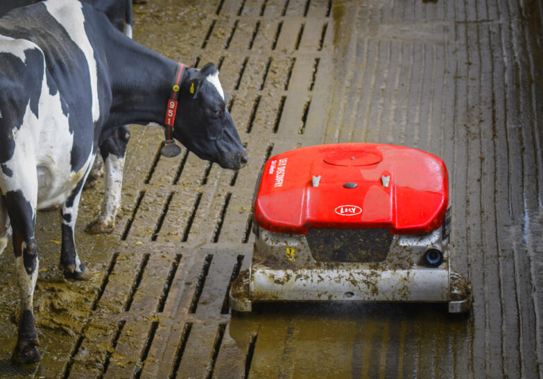 Lely discovery robot cleaning cow shed