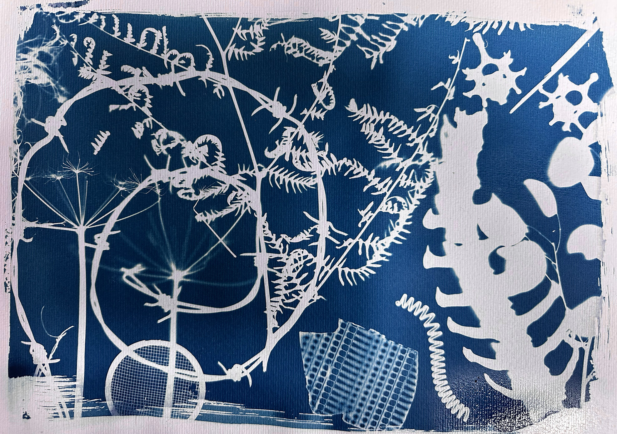 Photogram of objects using cyanotype process